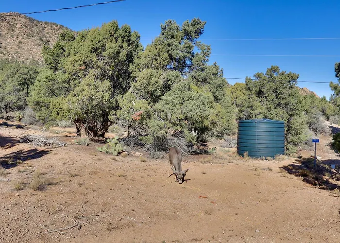 Holiday home Hualapai Mtn Views On 2 Acres: 'thunderhead' *